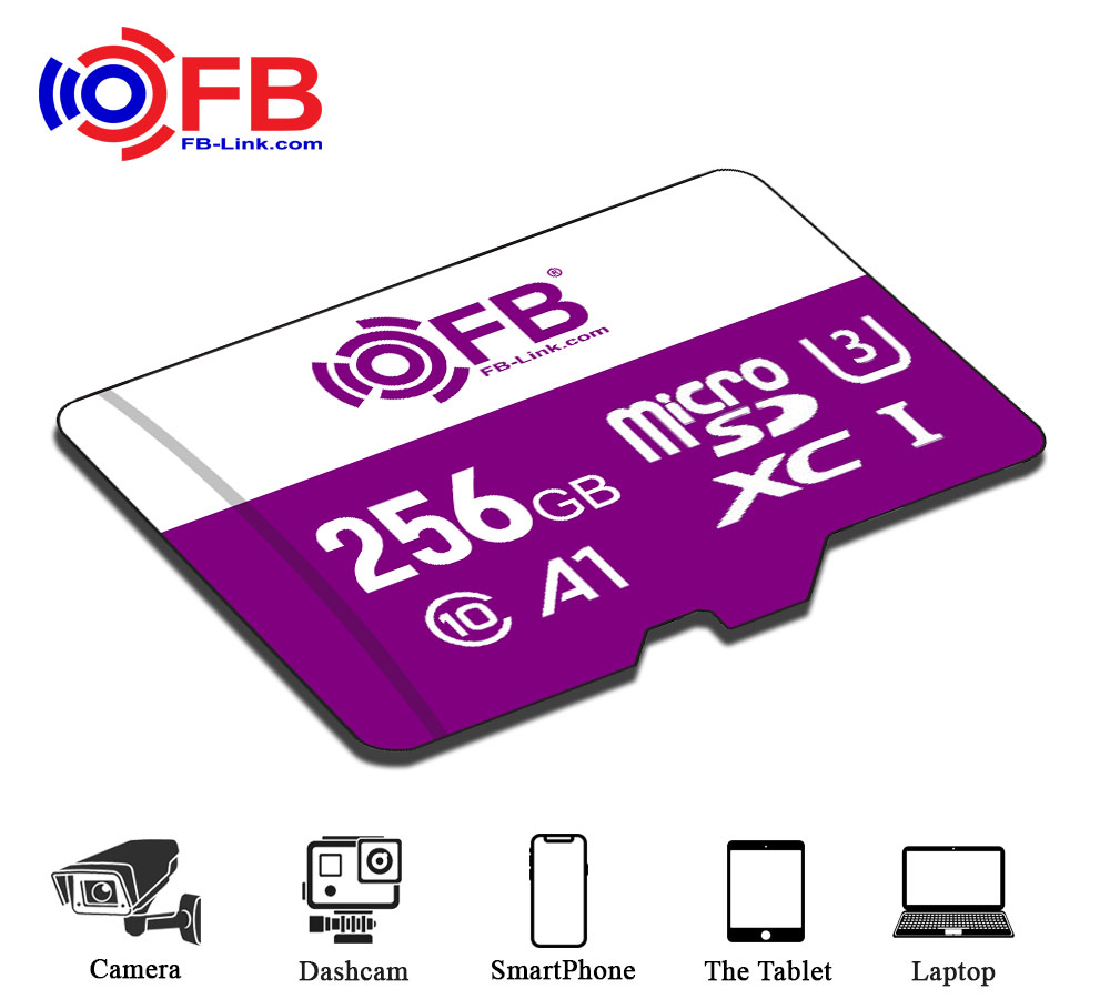 thẻ nhớ Fb-Link 256gb