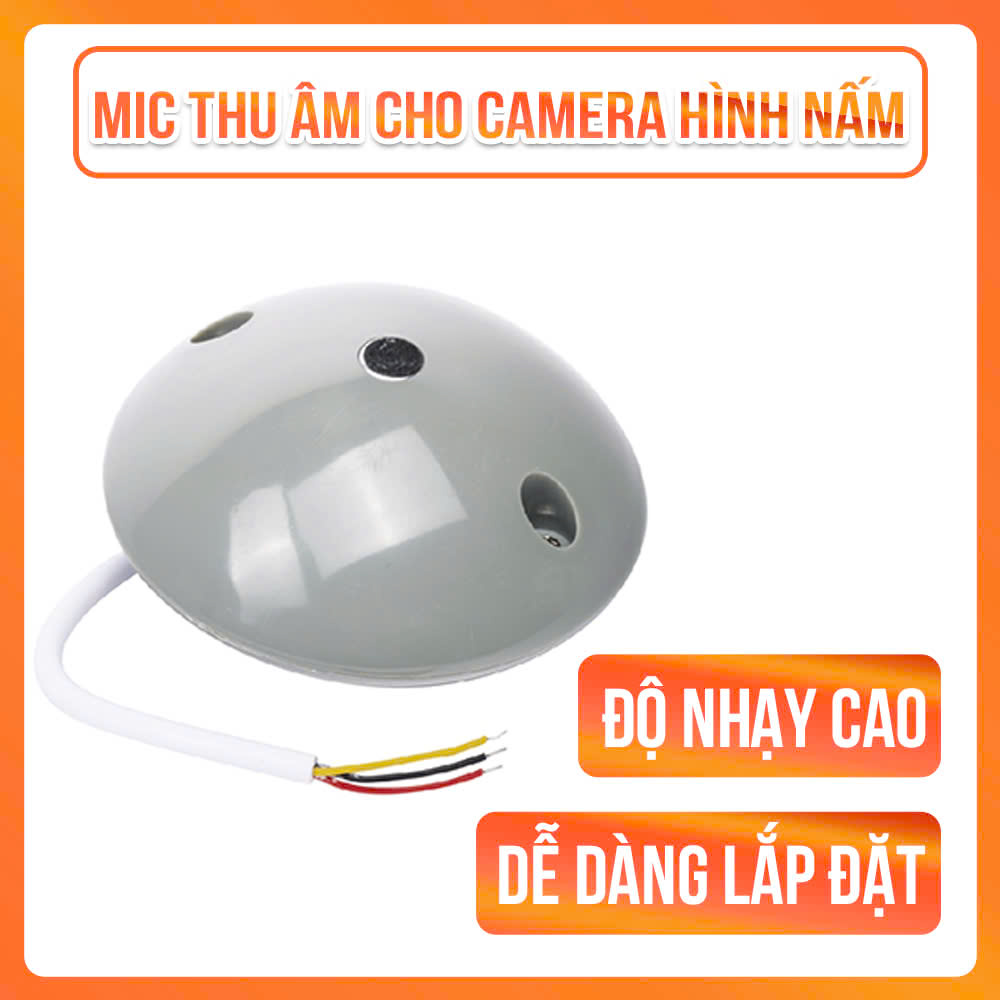 z6145383054131_34e78b3247a55f438dd7db4d922974e5